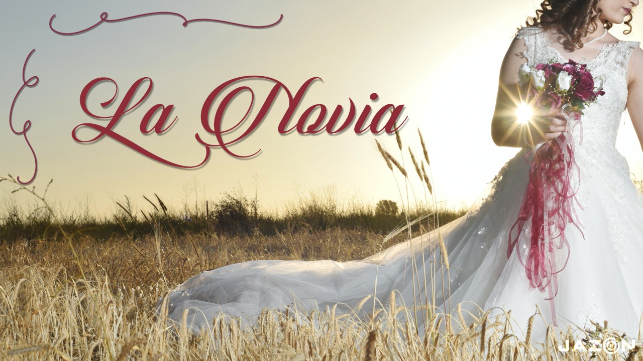 video-section-banner-image