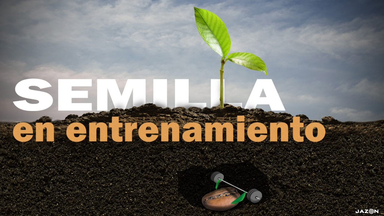 video-section-banner-image